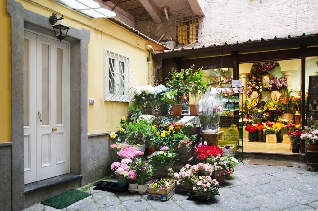 Casa Tonia San Cesareo Apartment Соренто Стая снимка